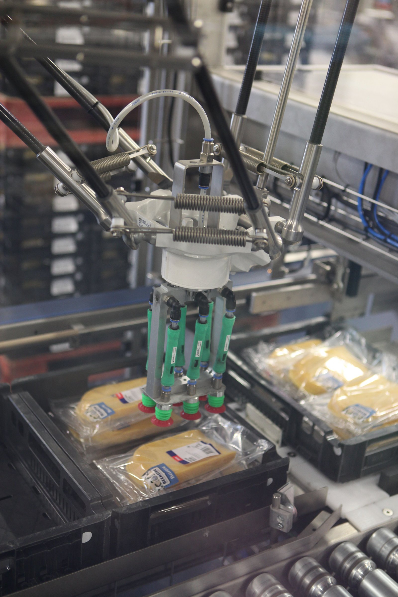 Robertpack-Fanuc-deltapicker-robot-voor-verpakken-kaas-in-CBL kratten