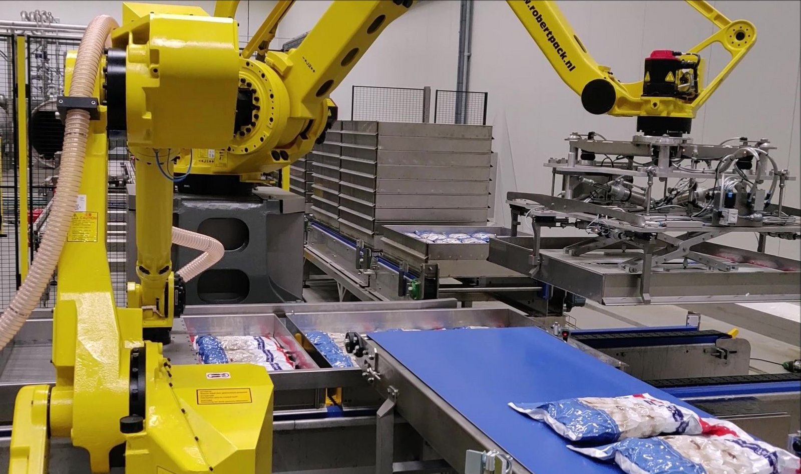 fanuc-handling-robot-voor-de-champignonindustrie-geleverd-door-robertpack-uit-zwolle
